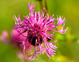 Similar image 114116