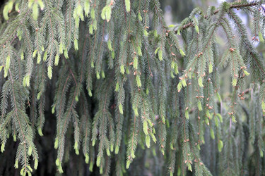 Similar image 114144