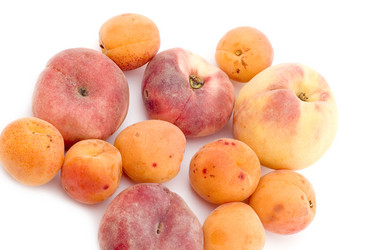 Similar image 114200