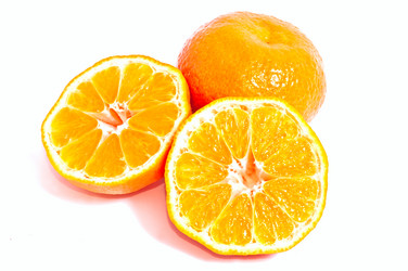 Similar image 114209