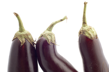 Similar image 114246