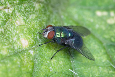 Similar image 114278