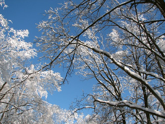 Similar image 114282