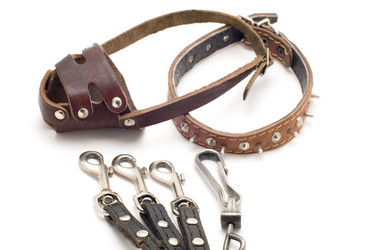 Similar image 114330