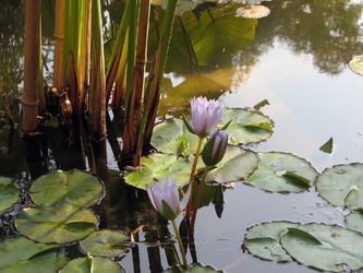 Similar image 114363