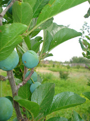 Similar image 114377