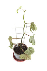 Similar image 114416