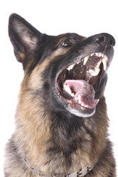 Similar image 114466