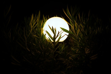 Similar image 114579