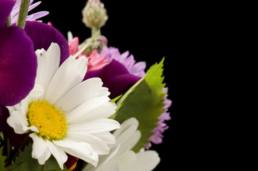 Similar image 114604