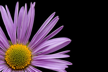 Similar image 114606