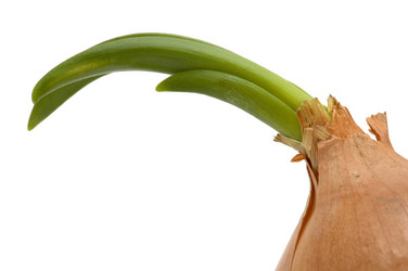 Similar image 114612