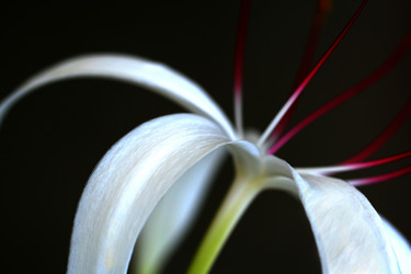 Similar image 114619