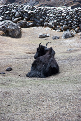 Similar image 114620