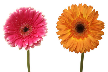 Similar image 114730