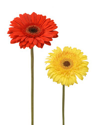 Similar image 114735