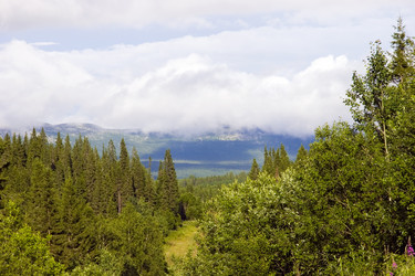 Similar image 114799