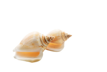 Similar image 114822