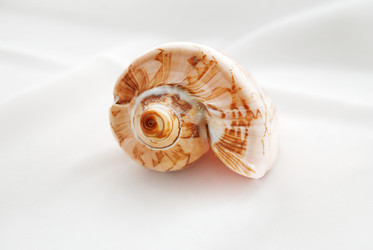 Similar image 114823