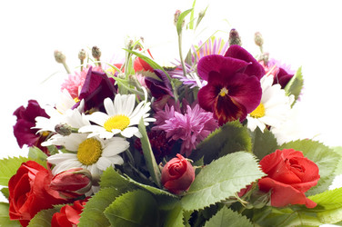 Similar image 114966