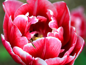 Similar image 115007