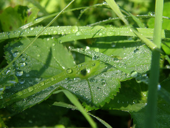 Similar image 115022