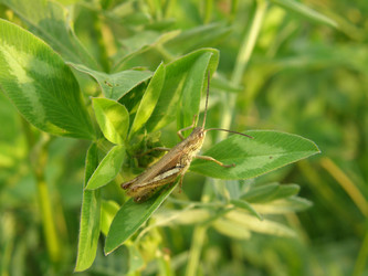 Similar image 115025