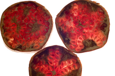 Similar image 115120