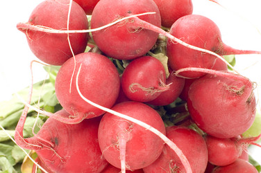 Similar image 115148