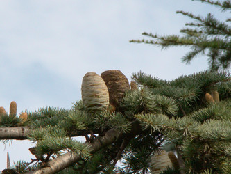 Similar image 115166