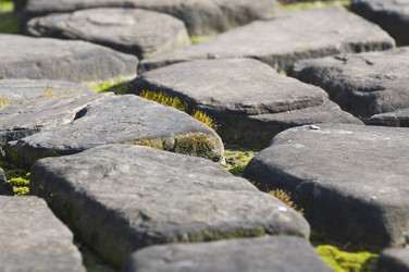 Similar image 115226