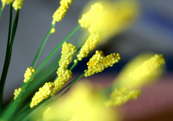 Similar image 115228