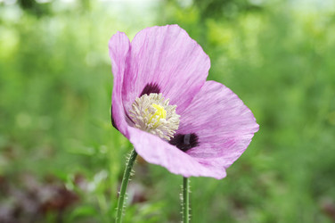 Similar image 115253