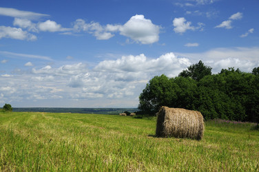 Similar image 115260