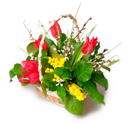 Similar image 115300