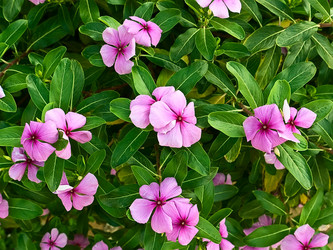 Similar image 115314