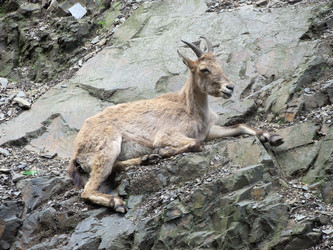 Similar image 115326