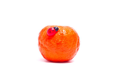 Similar image 115329