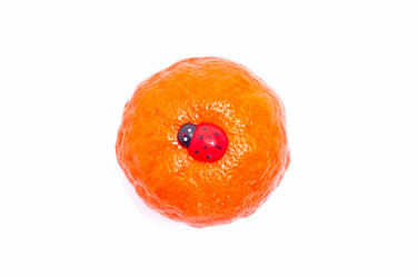 Similar image 115363