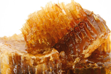 Similar image 115371