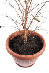 Similar image 115398