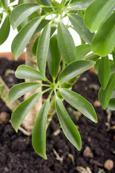 Similar image 115400