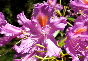 Similar image 115408