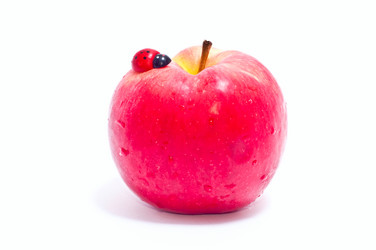 Similar image 115411