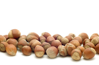 Similar image 115455