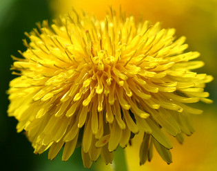 Similar image 115465