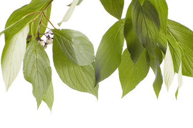 Similar image 115467