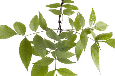 Similar image 115468