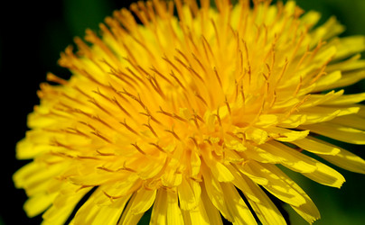 Similar image 115469