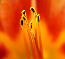 Similar image 115482